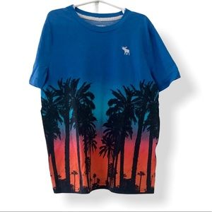 abercrombie kids graphic tee